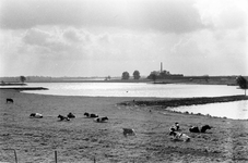 842674 Gezicht over de uiterwaarden bij de rivier de Lek ter hoogte van het stuw- en sluizencomplex Hagestein. Op de ...